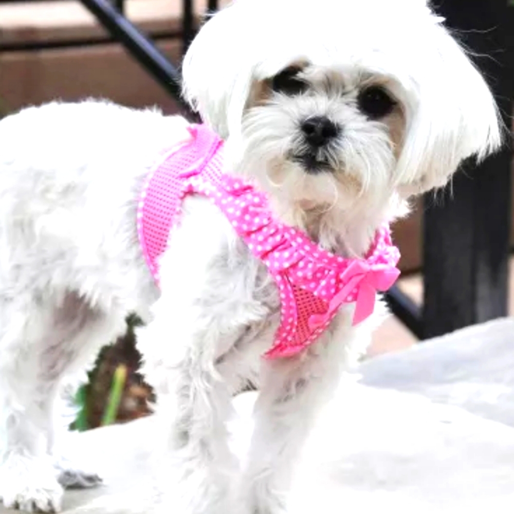 PINK POLKA DOT X SMALL DOG HARNESS